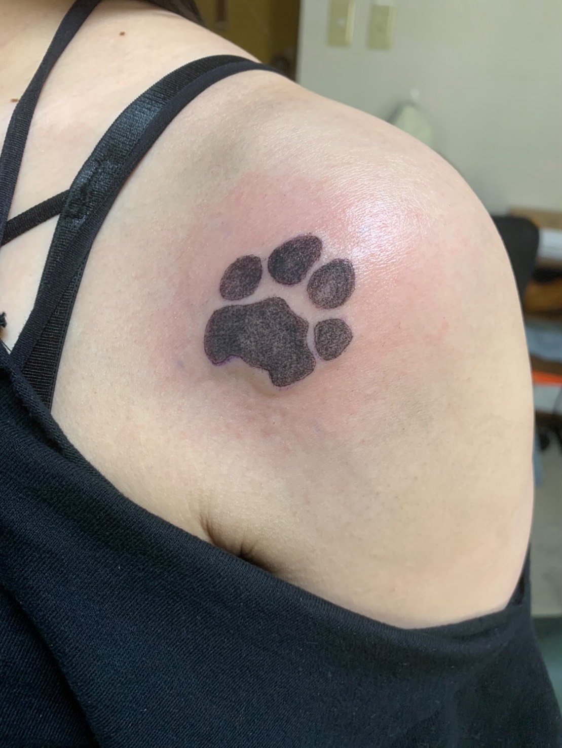 肉球 ワンポイント